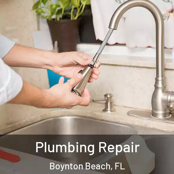  Plumbing Repair Boynton Beach, FL